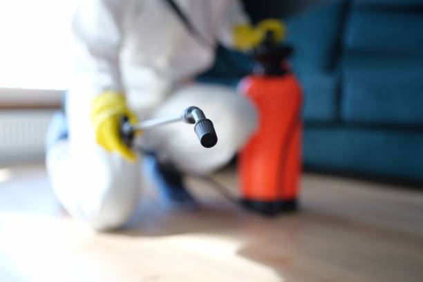 Orange, CA Mold Inspection, Removal & Remediation Company